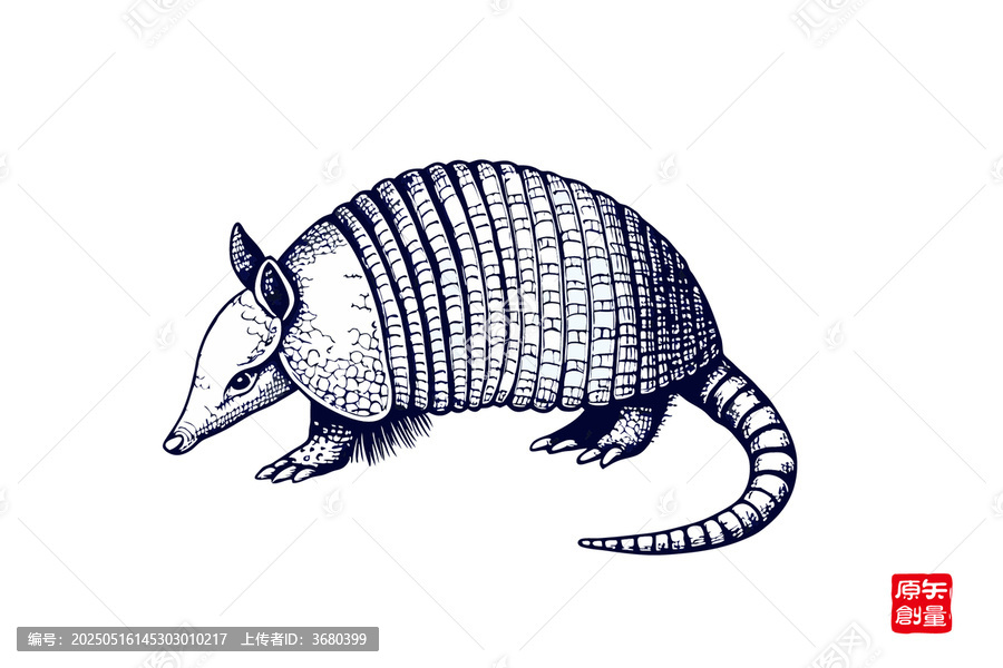 犰狳手繪插畫動物圖案