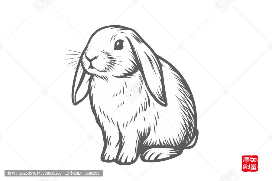 簡約風垂耳兔黑白插畫