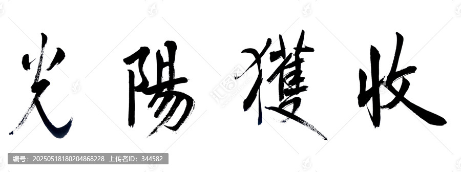 收獲陽光