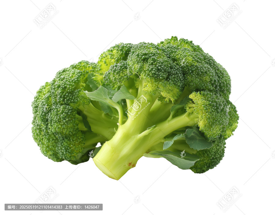 [免摳素材]新鮮西蘭花特寫圖片