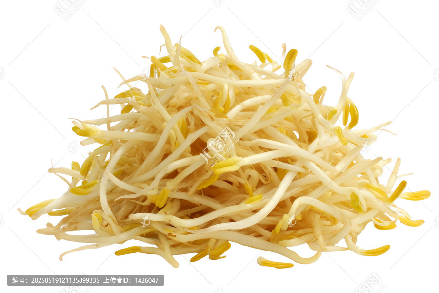 [免摳素材]新鮮綠豆芽特寫