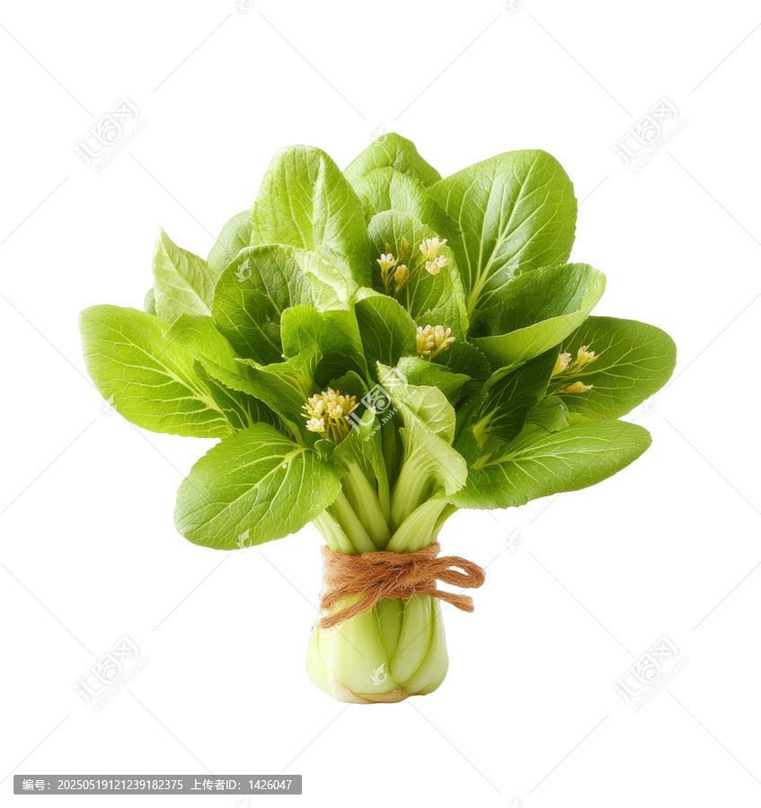 [免摳素材]鮮嫩包菜花束特寫