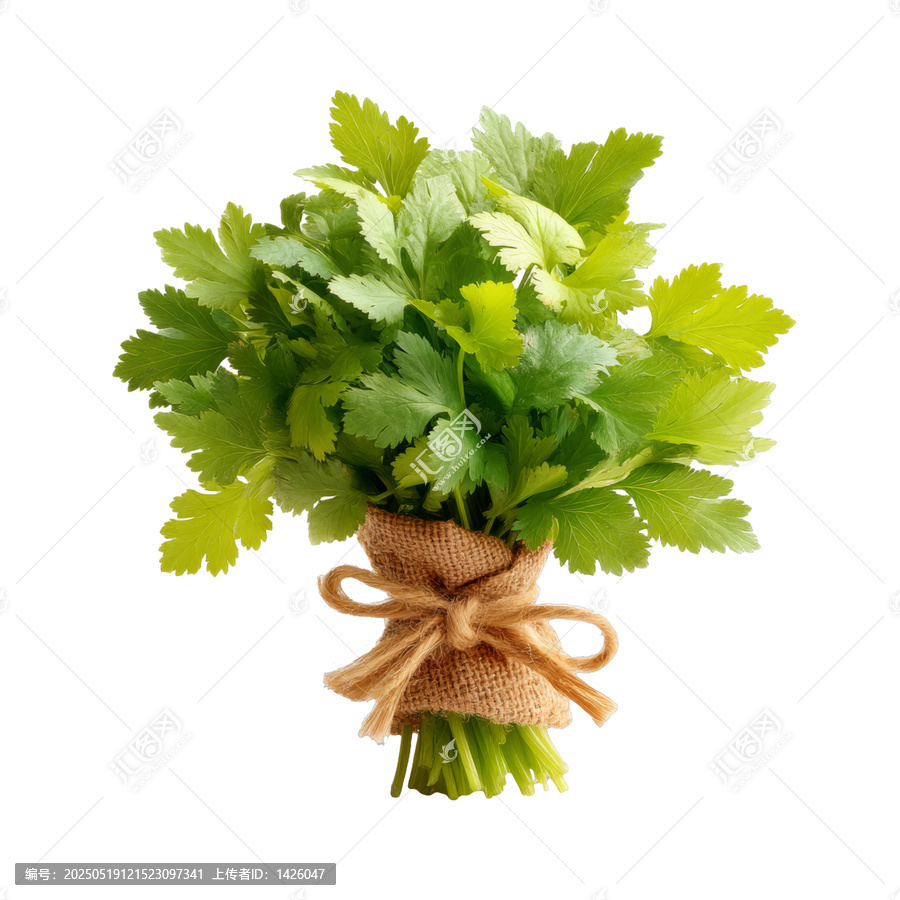 [免摳素材]捆綁新鮮香菜