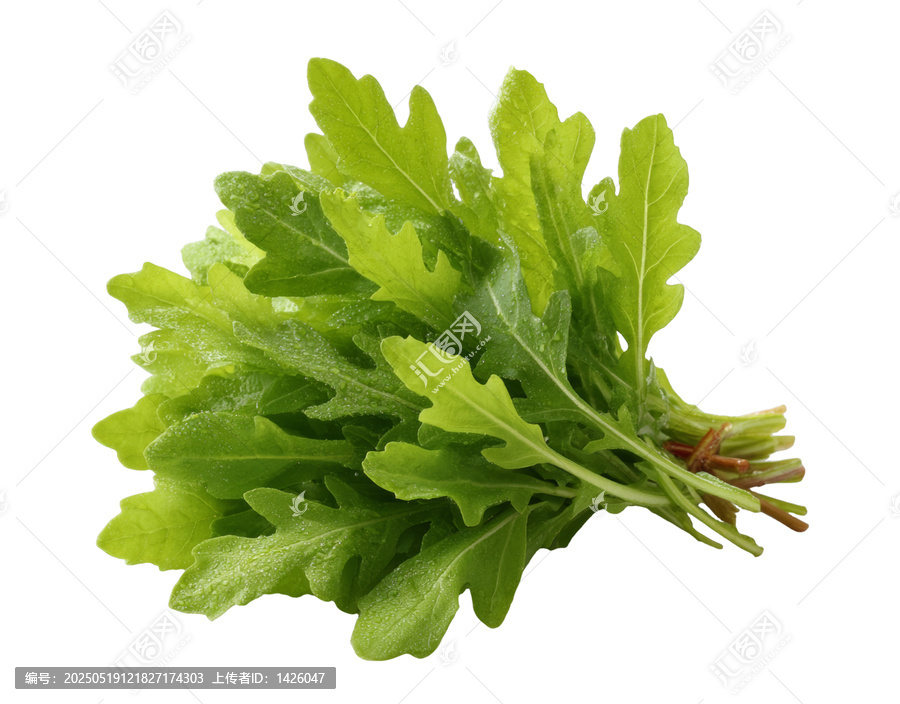 [免摳素材]新鮮水芹菜束特寫
