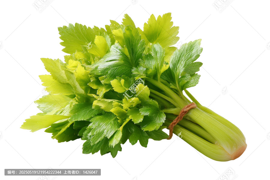 [免摳素材]新鮮芹菜束特寫