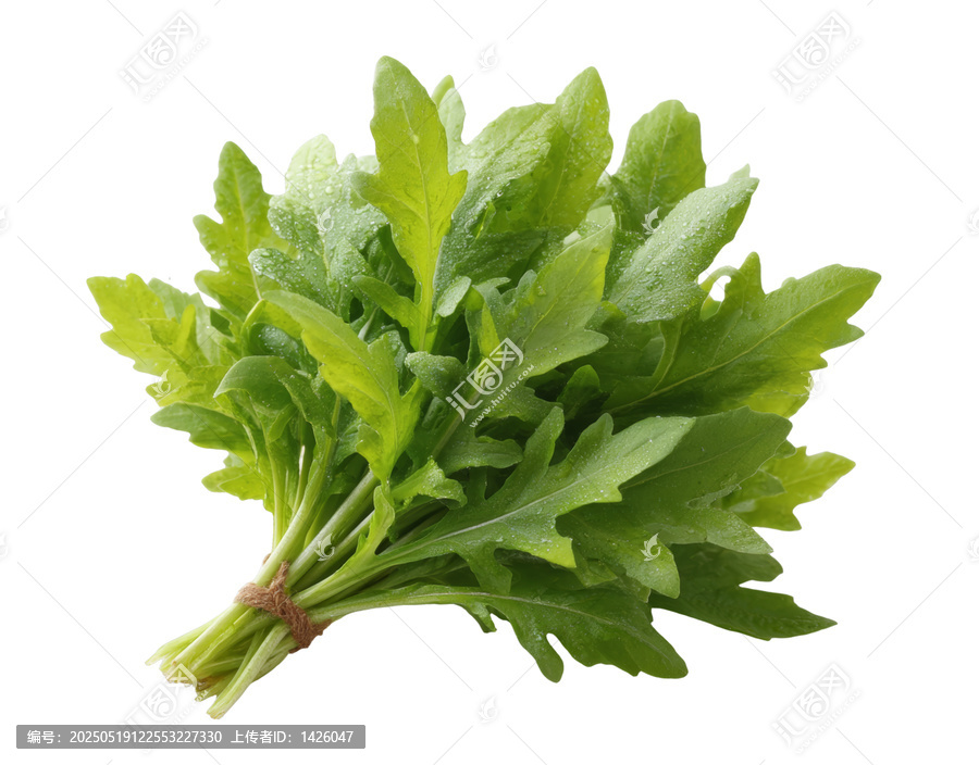[免摳素材]新鮮綠色蔬菜葉束特寫(xiě)