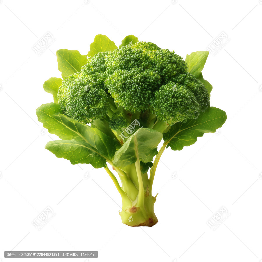 [免摳素材]新鮮西蘭花特寫圖片