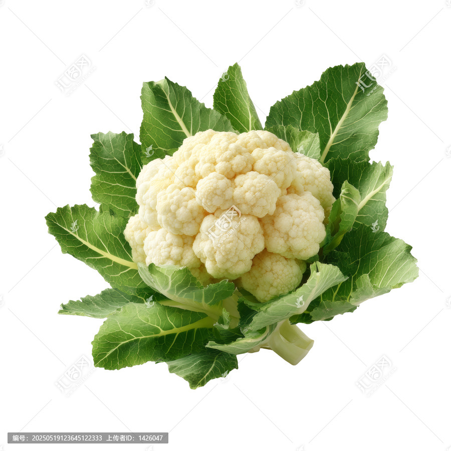 [免摳素材]新鮮西蘭花與綠色葉片