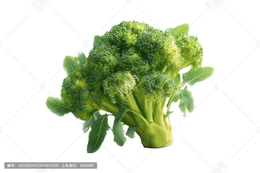 [免摳素材]新鮮西蘭花特寫圖片