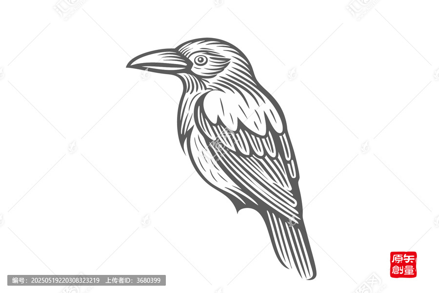 簡約線條風(fēng)鳥類矢量插畫