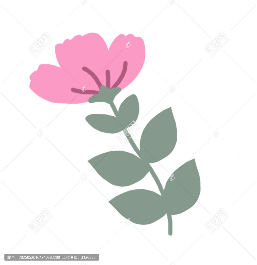 小粉花插畫素材