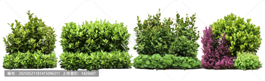 [免摳素材]多種植物景觀隔離白色背景圖
