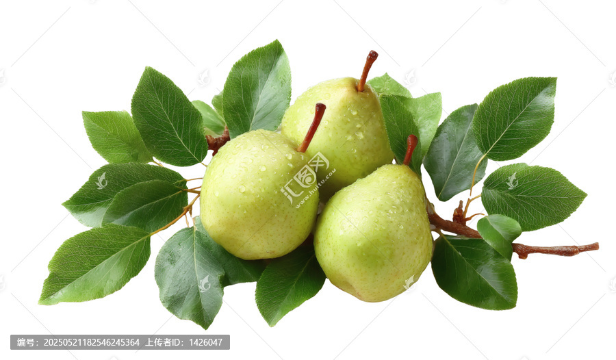 [免摳素材]新鮮梨子與綠葉的白色背景圖