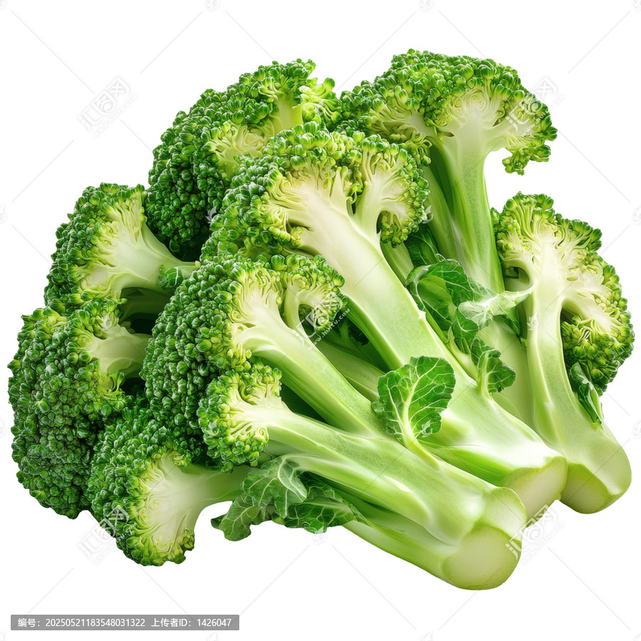 [免摳素材]新鮮西蘭花特寫圖片