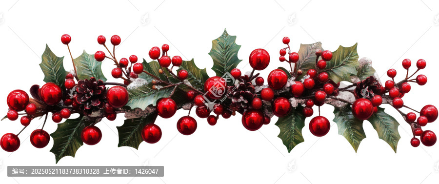 [免摳素材]圣誕節(jié)紅色漿果和冬青葉花環(huán)