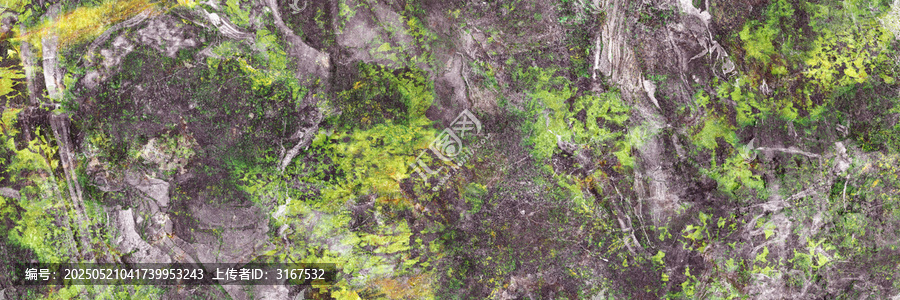俯拍山林綠意斑駁景象