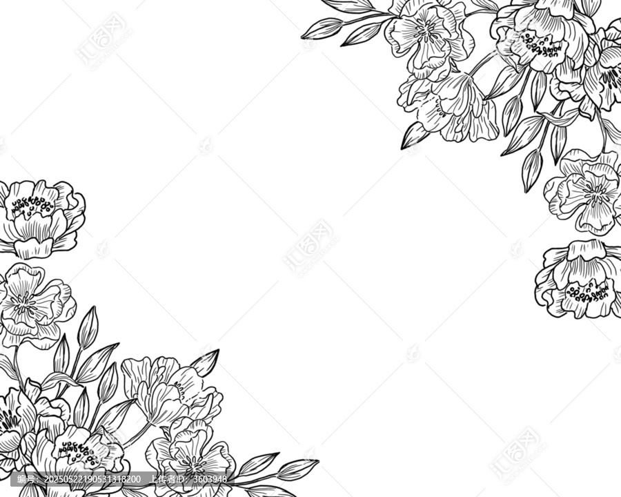 黑白花卉邊框裝飾矢量圖案
