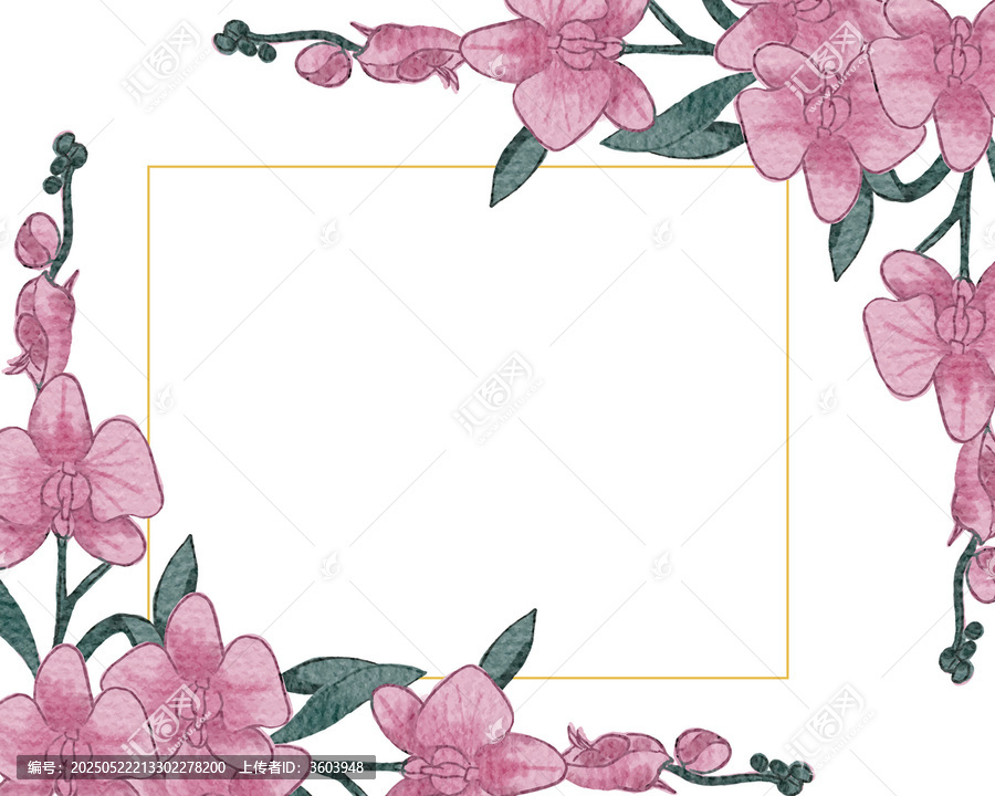 粉色蘭花花卉邊框矢量素材