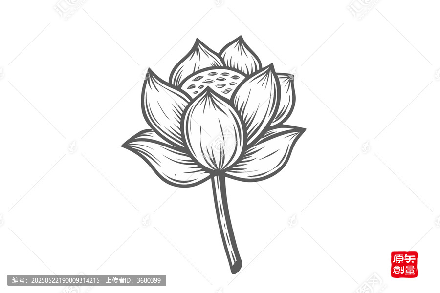 手繪簡約線條蓮花圖案