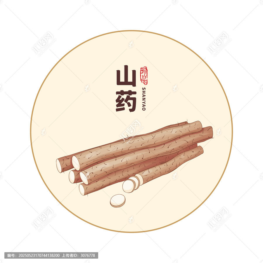 山藥手繪插畫