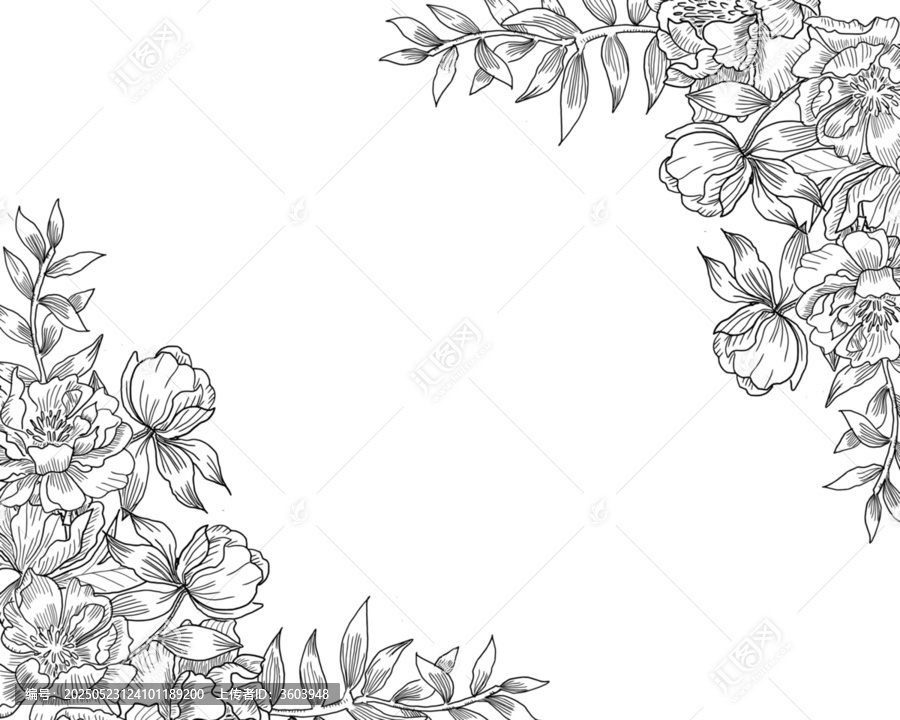 黑白花卉邊框裝飾矢量圖案