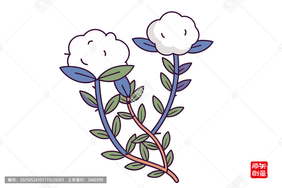 可愛手繪棉花植物插畫水仙花