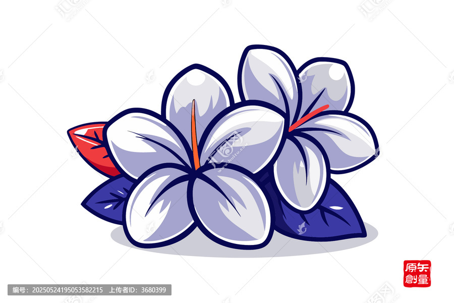 手繪清新兩朵雞蛋花茉莉花圖案