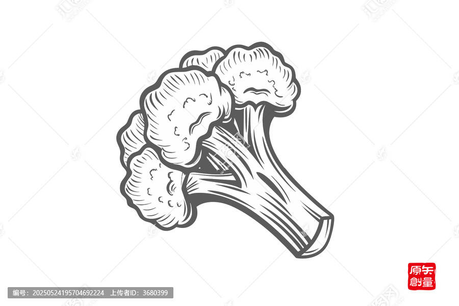 手繪西蘭花簡約圖案