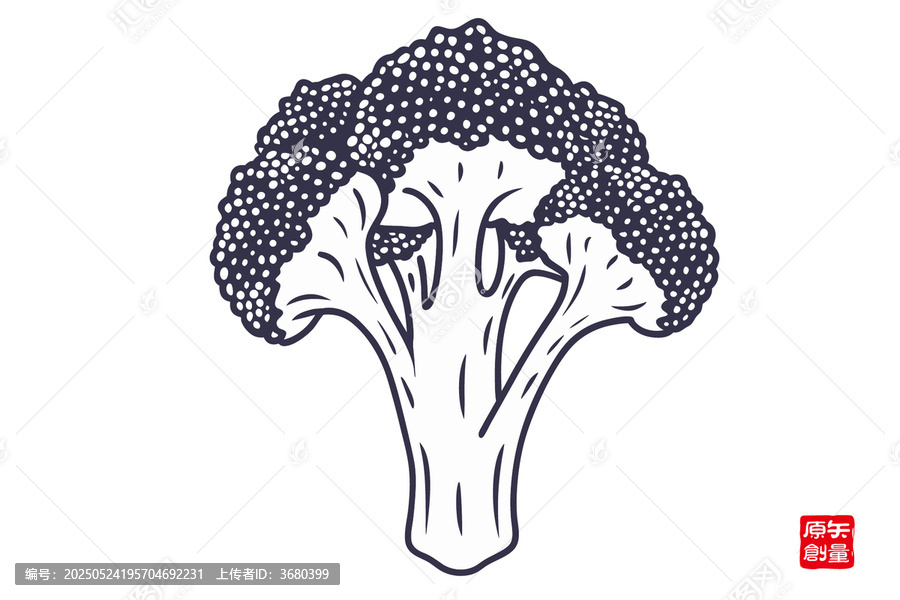 手繪西蘭花簡約插畫素材
