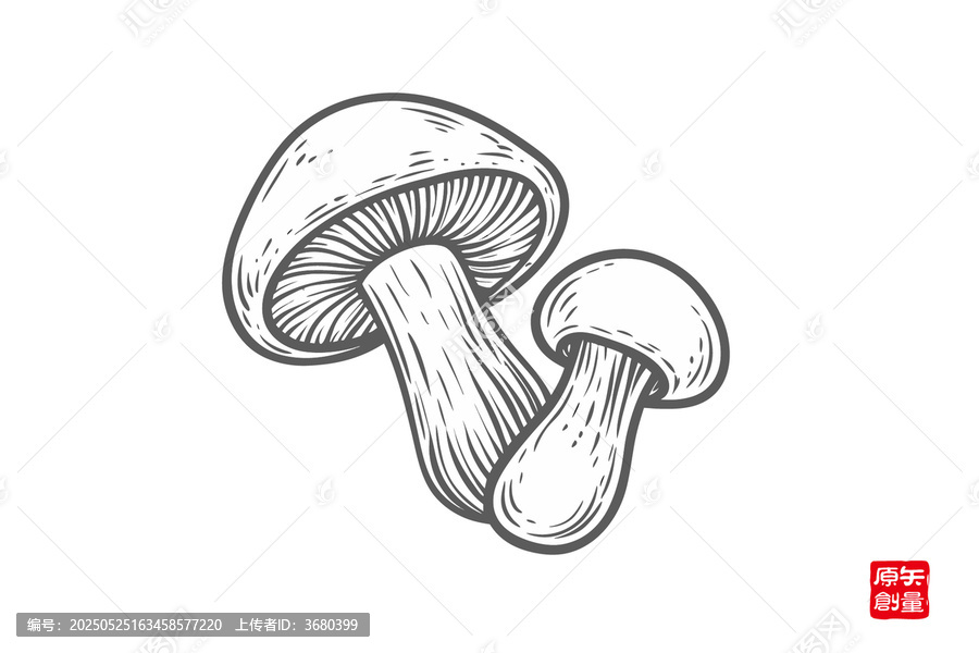手繪黑白雙蘑菇圖案