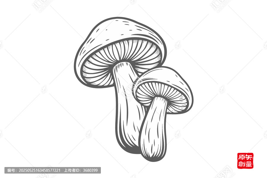 手繪雙生蘑菇插畫圖案