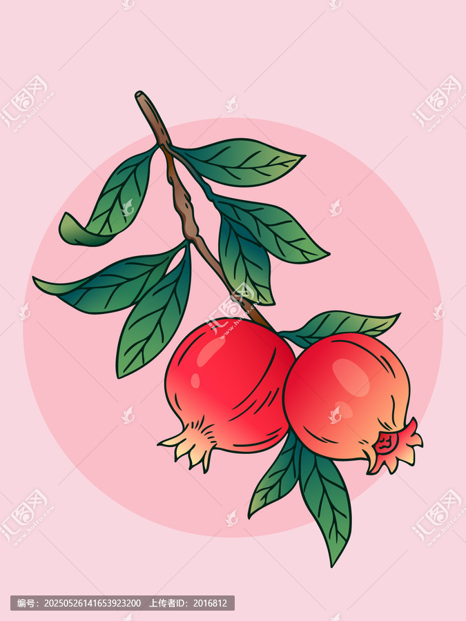 手繪石榴插畫