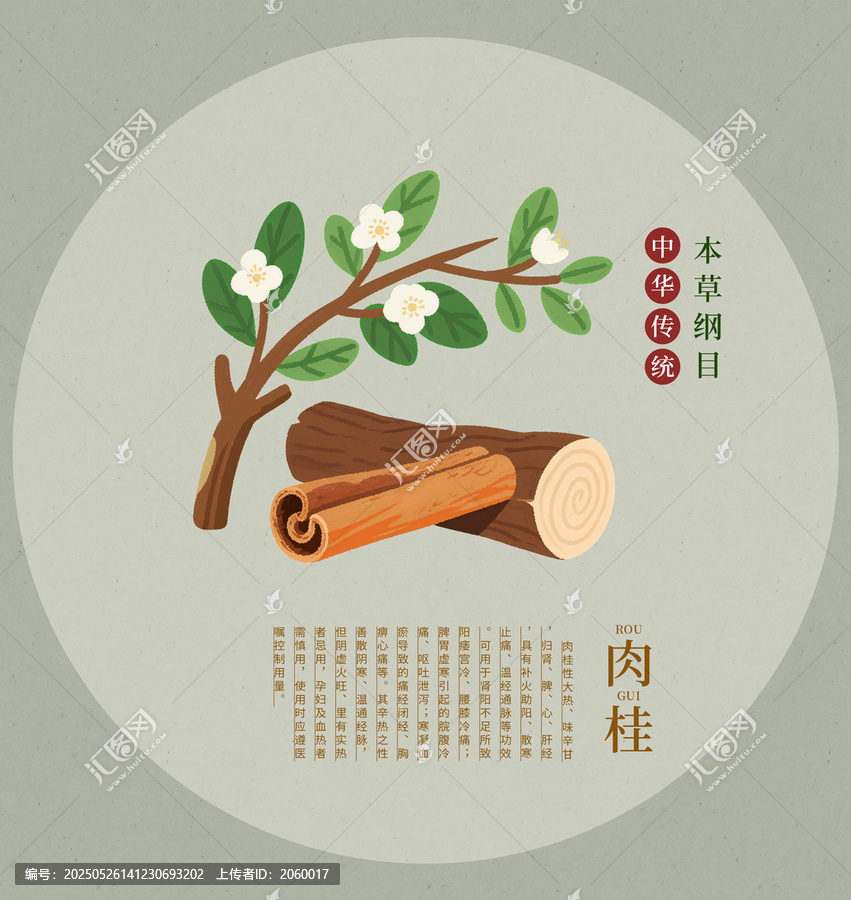 傳統(tǒng)本草之肉桂插畫手繪中草藥包裝