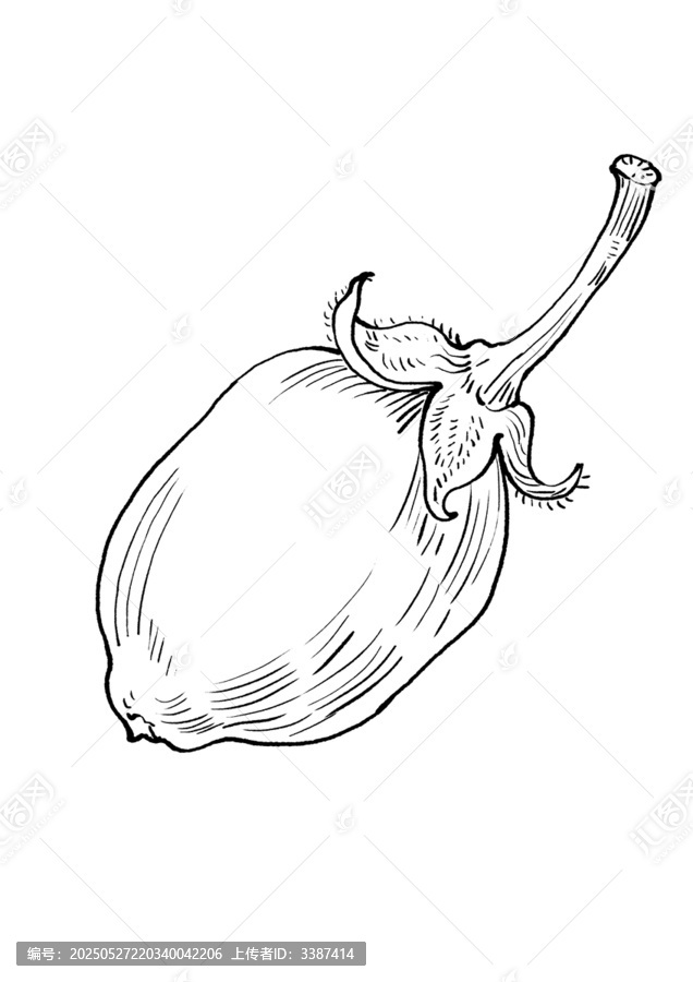 手繪風(fēng)單個茄子黑白插畫