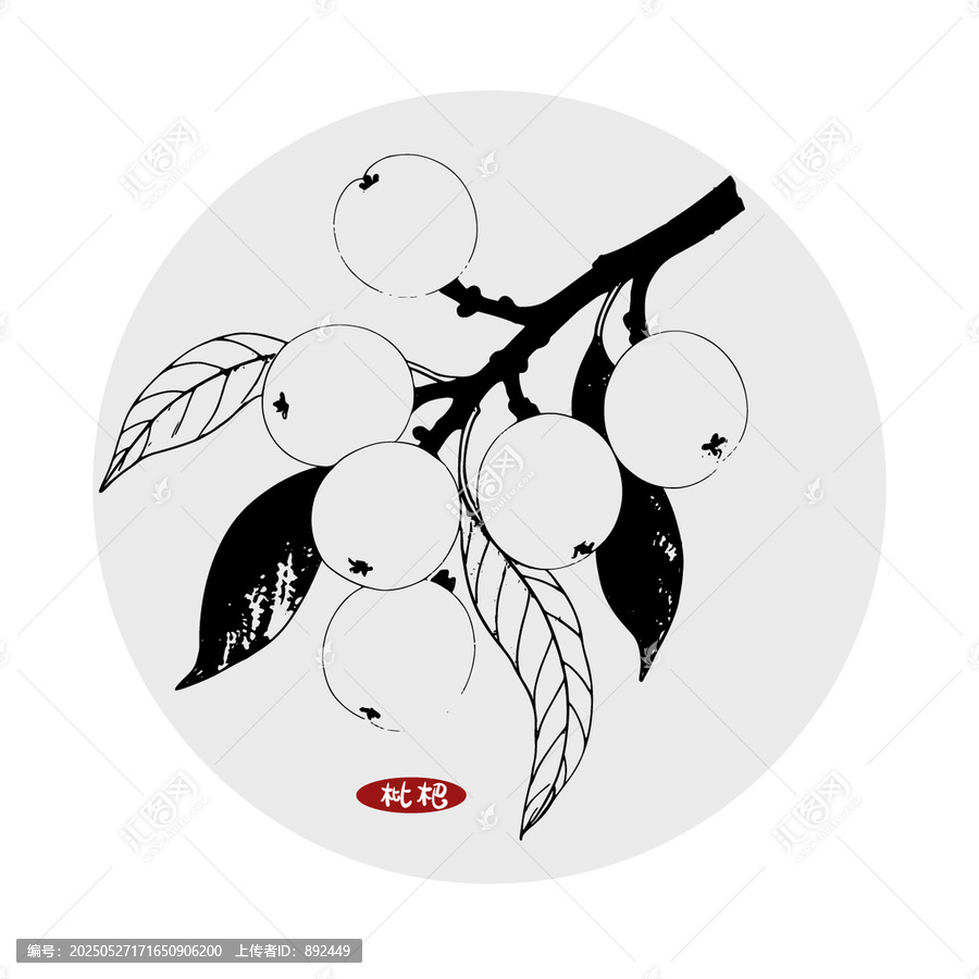 枇杷插畫(huà)