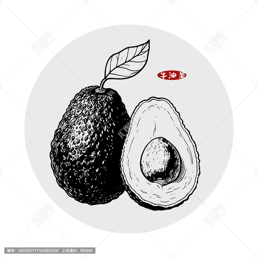 牛油果插畫