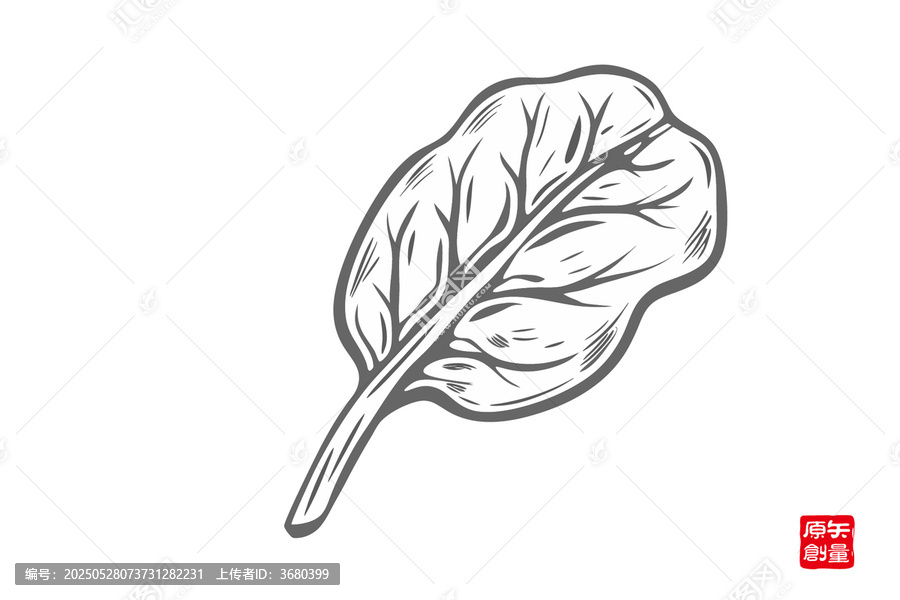 手繪單枚葉片線(xiàn)條插畫(huà)