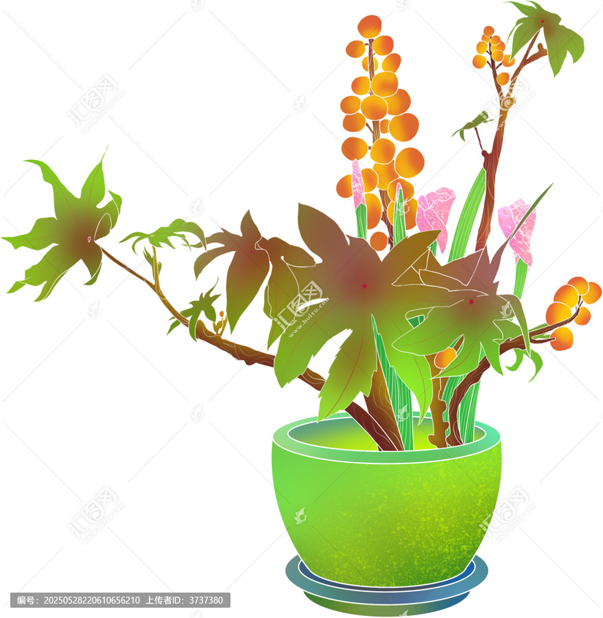 多彩盆栽花卉插畫