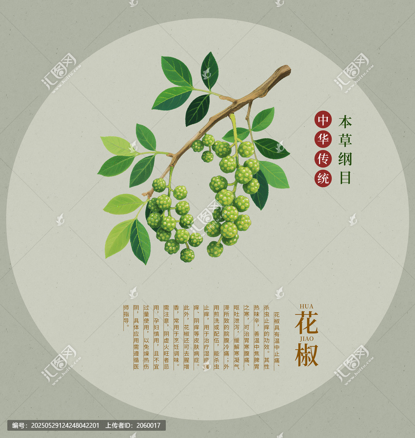 花椒插畫中草藥本草綱目圖鑒