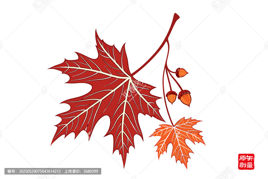 手繪紅葉與橡果插畫