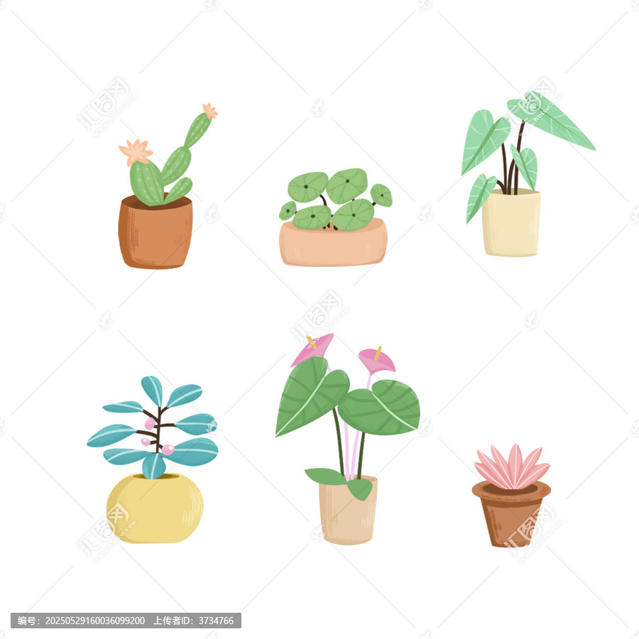 植物