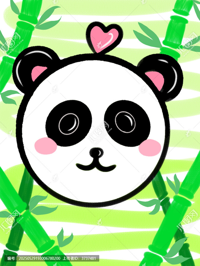 小熊貓