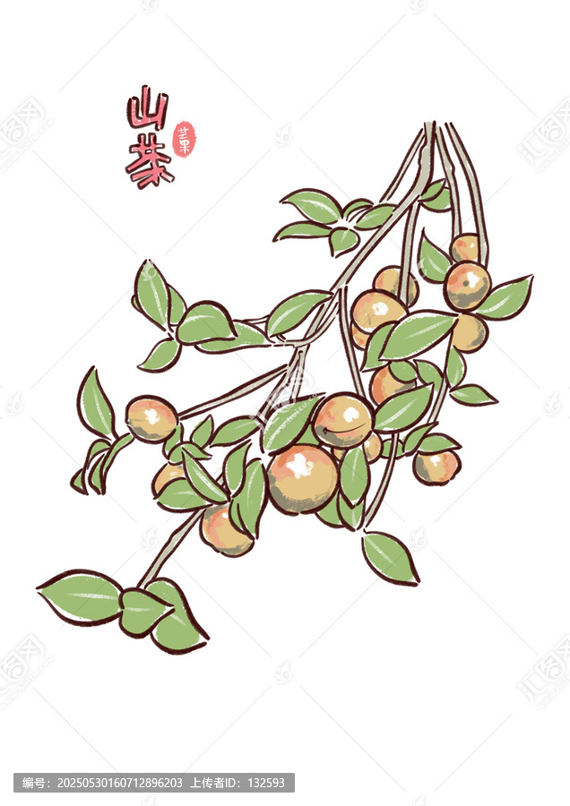 山茶油