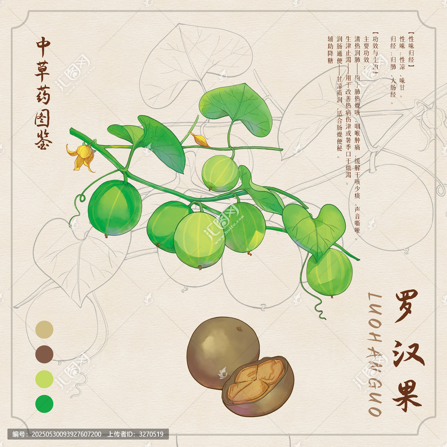 羅漢果草藥圖鑒