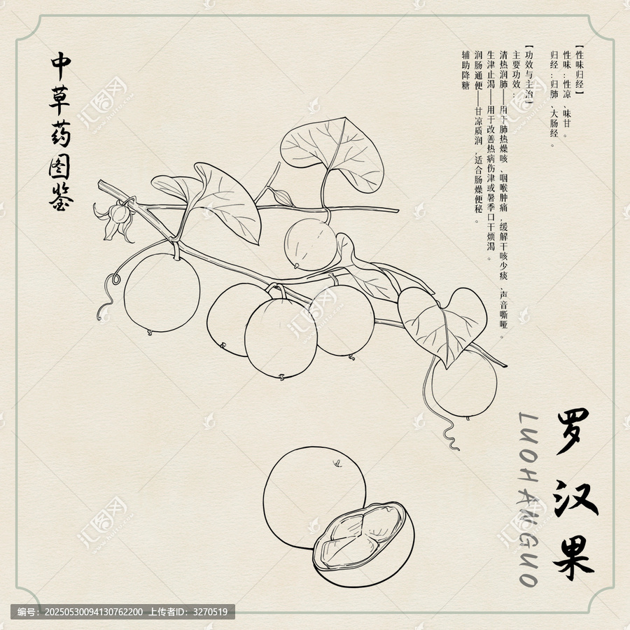 羅漢果草藥圖鑒黑白