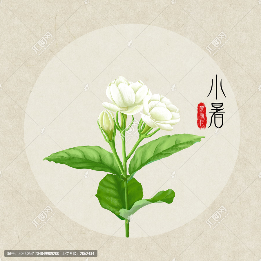 24節(jié)氣之小暑茉莉花