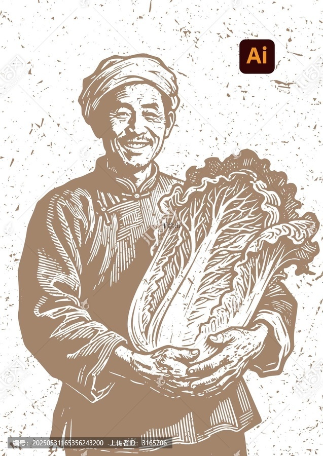 老農(nóng)捧大白菜插畫