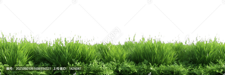 [免摳素材]清新綠草背景圖