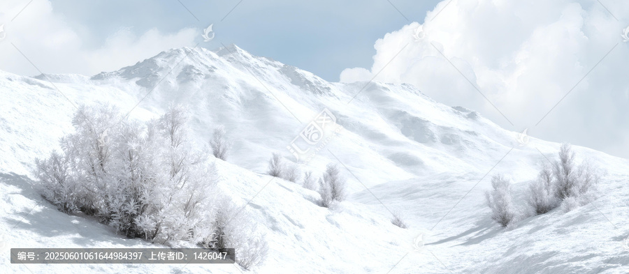 雪山上的霜凍樹木