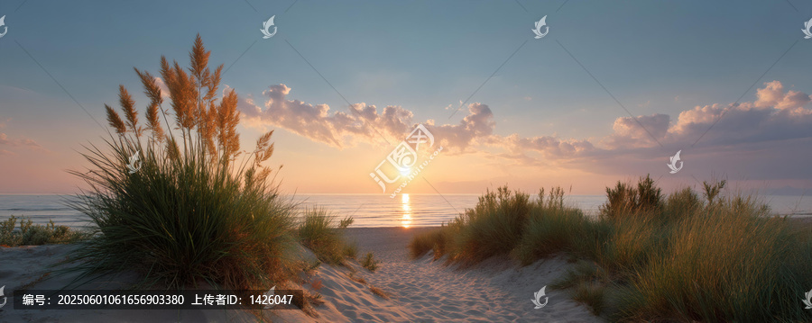 海灘沙丘日出美景